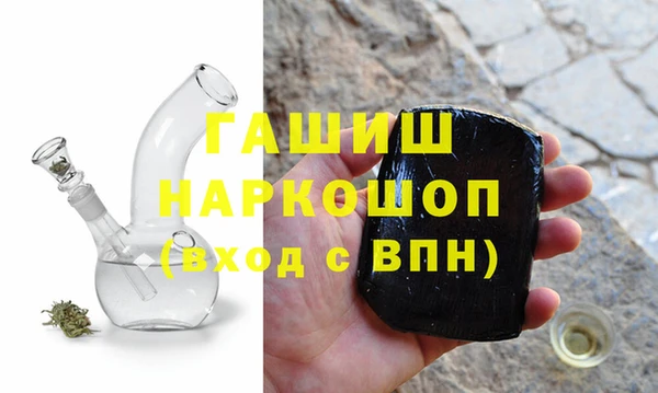 индика Каменногорск