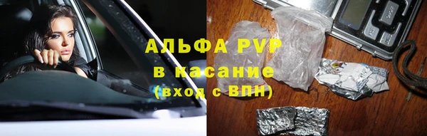 ПСИЛОЦИБИНОВЫЕ ГРИБЫ Каменка