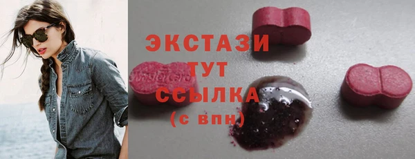 индика Каменногорск