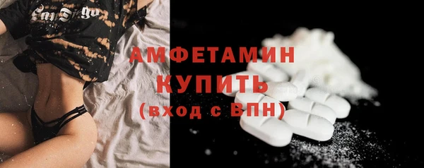индика Каменногорск