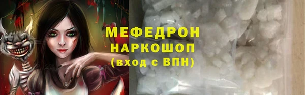 индика Каменногорск