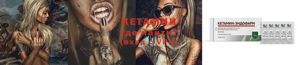 индика Каменногорск