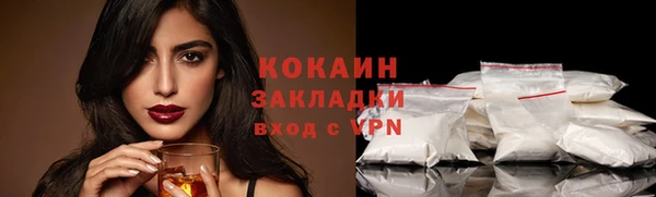 индика Каменногорск