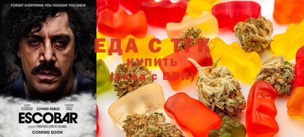 ПСИЛОЦИБИНОВЫЕ ГРИБЫ Каменка
