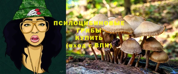 амф Карталы