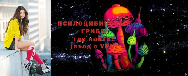 ПСИЛОЦИБИНОВЫЕ ГРИБЫ Каменка